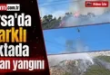 Bursa'da 3 farklı noktada orman yangını