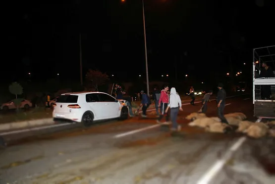 elazigda-yaris-yapan-2-surucu-30-koyunu-telef-etti-1588714766885.jpg Elazığ'da yarış yapan 2 sürücü 30 koyunu telef etti!-1