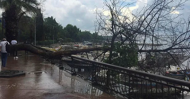 Son dakika: Darıca'da felaketi yaşadılar... 1 kişi hayatını kaybetti