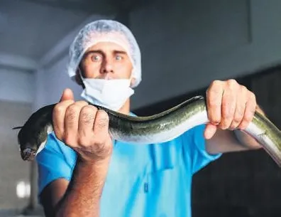 Hobi için başladı ihracatla büyüdü