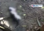 Sarıyer'de çifte vahşet