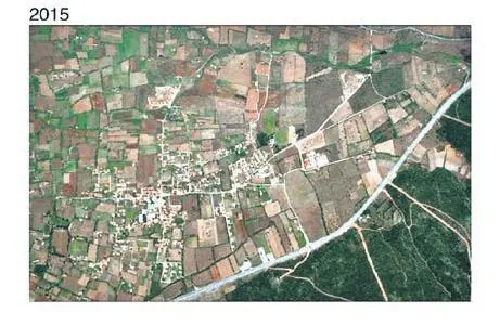 sozde-cevreci-chpli-belediye-imara-actigi-zeytinlikleri-katletti-milyonluk-villalara-coktu-iste-yagmanin-fotog-1692227863639.jpeg CHP’li belediye zeytinlikleri katletti! Milyonluk villalara çöktü