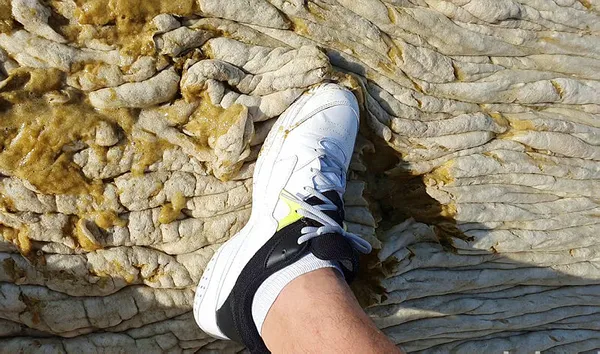 Silahtarağa'da şov yapanlar Kanal İstanbul'u da istemiyordu! Marmara'yı işgal eden deniz salyasını Kanal İstanbul azaltacak!-4