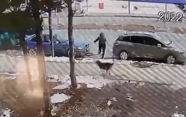 Sivas'ta başıboş sokak köpekleri nedeniyle yola atlayan çocuğa araba çarptı-2