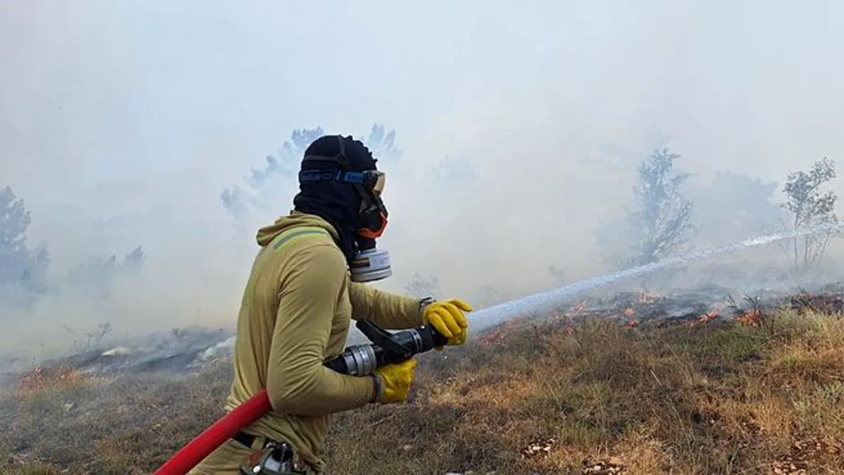 Bolu'da ormanlık alanda çıkan yangın büyümeden söndürüldü