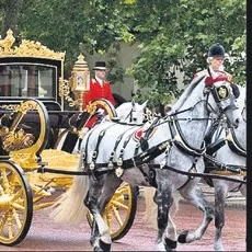 Kraliyet atı Tyrone emekli oldu