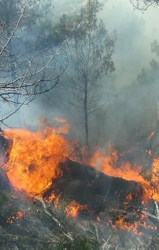 Manavgat’taki orman yangını kontrol altında