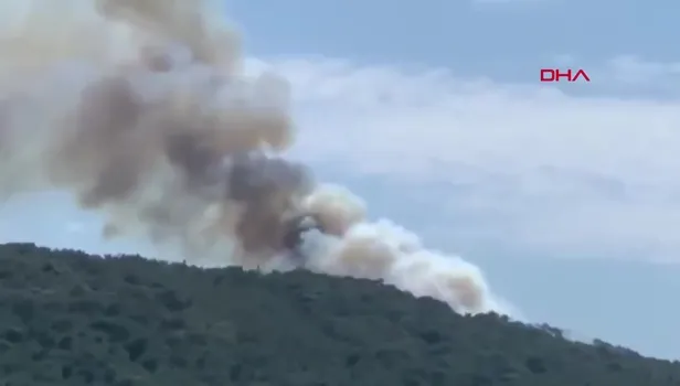 Heybeliada'da orman yangını