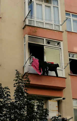 İstanbul'da acı olay! Genç kadın hayatını kaybetti