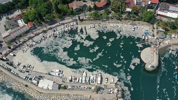 Türkiye, Marmara'yı saran müsilaja karşı düğmeye bastı! Vatandaşlar ise beyaz tehlikeye aldırmadı-2