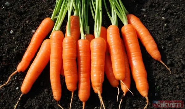 Kelliğin merhemi bulundu hem de mutfağınızda! Çare yine evden çıktı ama 40 yıl düşünsek aklımıza gelmez meğer... - 14