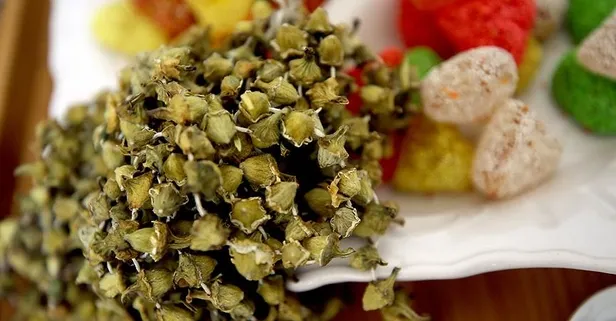 Kolesterole çare bamya | Kalbe enginar