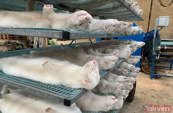 Çin'in Wuhan kentinde başlayan koronavirüs salgını, Pekin yönetimi tarafından 31 Aralık 2019 tarihinde dünyaya ilan edilmişti. Yeryüzündeki tüm ülkelere...