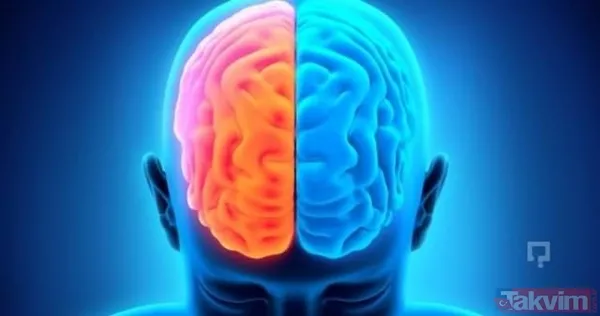 Beyin Egzersizi: Ördekler Arasındaki Civcivi Ne Kadar Hızlı Bulabilirsiniz? Beyin Egzersizleri, Mantık Yürütme Yeteneğinizi Ve Dikkat Kesilme Sürenizi Artırır...