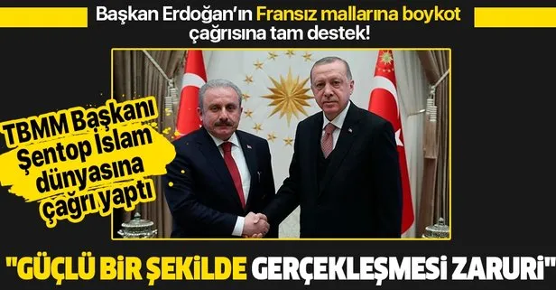 Başkan Erdoğan’ın Fransız mallarını boykot çağrısına TBMM Başkanı Mustafa Şentop’tan destek