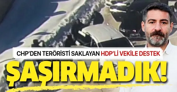CHP’den teröristi saklayan HDP’li Murat Sarısaç’a destek!