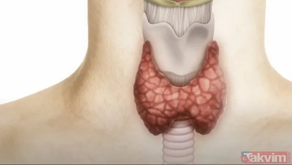 Doktorlar uyardı: Boynunuz bu ölçüden kalınsa kalp hastalığı riski iki kat artıyor - 3