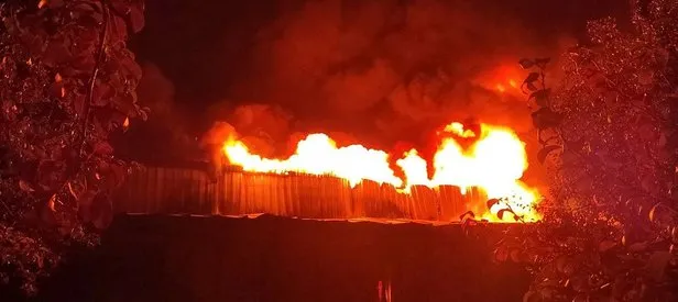 Bursa’da korkutan yangın!