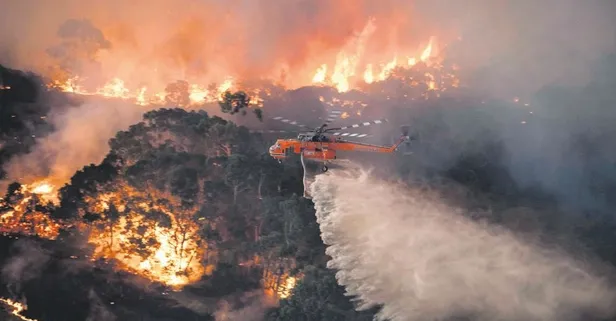 Bir yanda acı ve gözyaşı, diğer tarafta ise görkemli yeni yıl kutlamaları...
