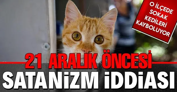 takvim gazetesi