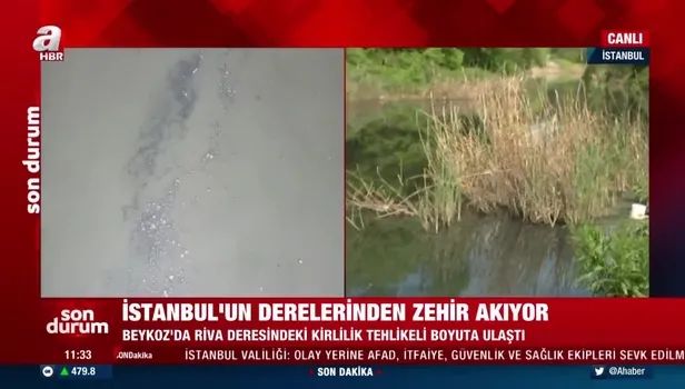 İstanbul'un derelerinden zehir akıyor: Riva deresindeki kirlilik insan sağlığını tehdit ediyor!