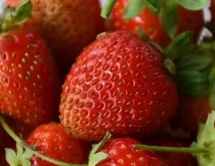 Yabancıya ucuz Türk’e pahalı