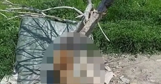 Edirne’de vahşet! Köpek, iple ağaca asılarak öldürüldü