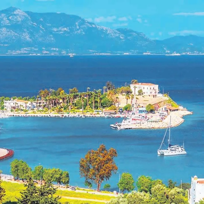 Jumbo karides: 8 bin TL