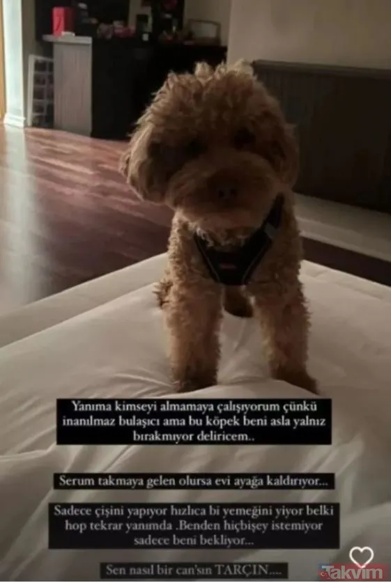 43 yaşındaki Çağla Şıkel’den kötü haber: Yanına kimse giremiyor! “Serum takmaya gelen olursa...” İşte Çağla Şıkel’in sağlık durumu...