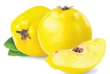 Ayva hem damak hem de sağlık için vazgeçilmez