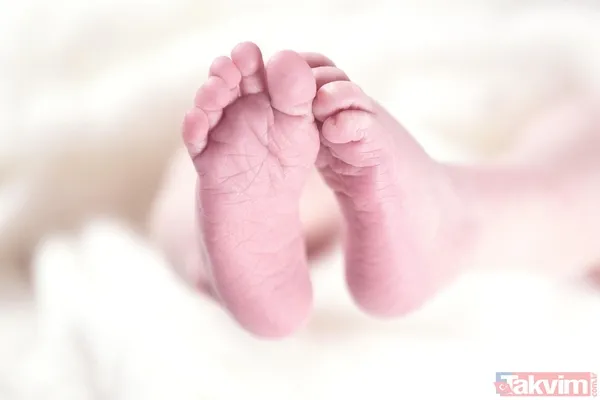 Bugün doğan çocuklar 100 yaşını görebilecek mi? Şaşırtıcı araştırma gerçeği ortaya çıkardı - 5