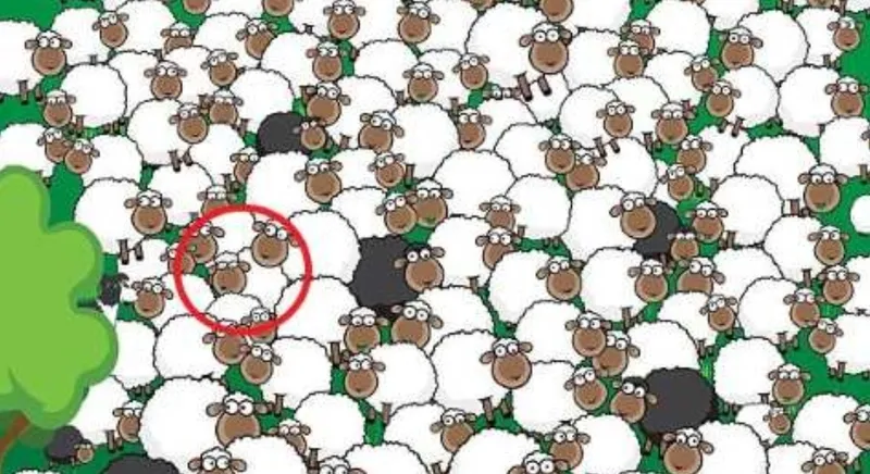 zeka-testi-suruden-kaybolmadan-bul-hangi-koyun-uyuyor-1738246381833.jpg (Takvim Foto Arşiv)