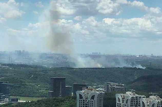 İstanbul'da ormanlık alanda yangın