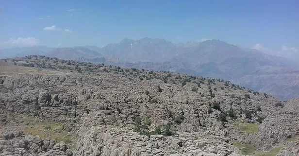 Terör örgütü PKK'dan hain saldırı