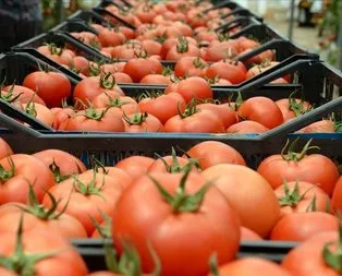 Pandemiye rağmen artış sürdü: 2019’da 5,3 milyar dolar...