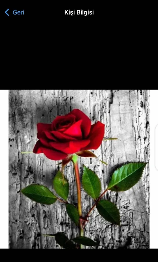 istiklale-saldirida-yeni-kirmizi-gul-detayi-profil-fotografi-ele-verdi-taksim-bombacisi-albashirin-suc-ortagi-1668939697354.jpg İstiklal’e saldırıda yeni ‘kırmızı gül’ detayı! Profil fotoğrafı ele verdi: Taksim bombacısı Albashir'in suç ortağı Bilal Hassan’da da çıktı-2