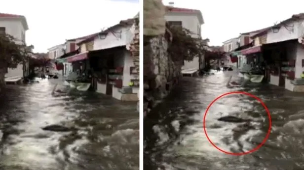 dask zorunlu deprem sigortasi