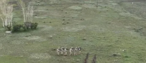 4-ilde-gocmen-kacakcilarina-darbe-bakan-yerlikaya-duyurdu-cok-sayida-kisi-yakalandi-1717480308444.jpeg 4 ilde göçmen kaçakçılarına darbe! Bakan Yerlikaya duyurdu: Çok sayıda kişi yakalandı-2