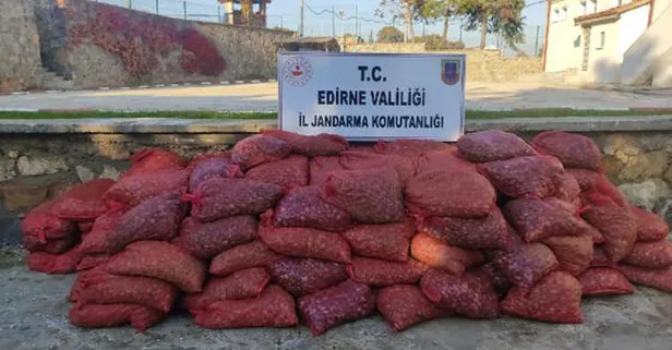 Edirne'de 3 ton kaçak midye ele geçirildi!