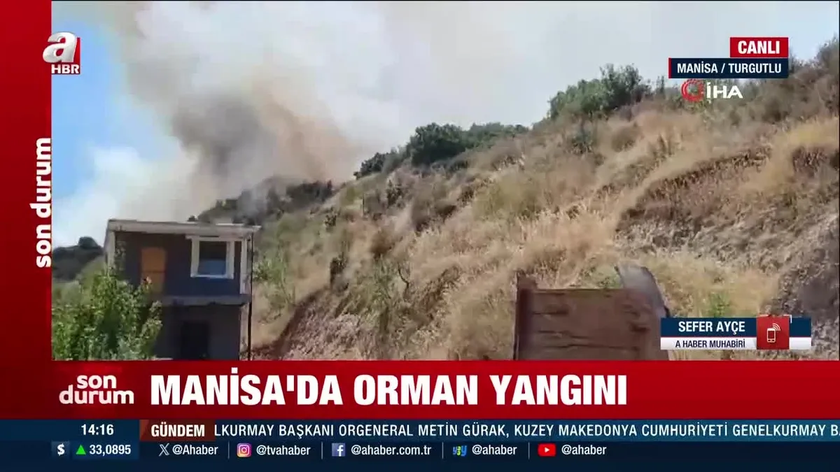 Manisa'da orman yangını!