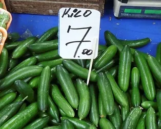 Şubatın zam şampiyonu salatalık oldu