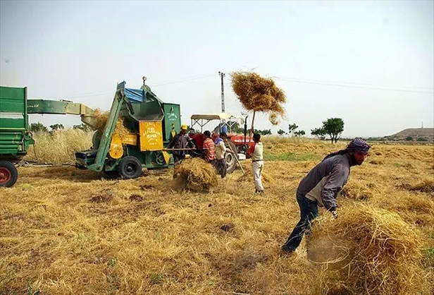 hukumetten-ciftcileri-sevindiren-yenilik-hasat-sigortasi-basladi-primler-artti-1642120334159.jpeg Hükümetten çiftçileri sevindiren yenilik! Hasat sigortası başladı-15