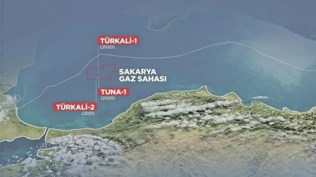 Esad rejiminin devrilmesi 2009'da rafa kaldırılan projeyi gündeme getirdi! Sakarya doğal gazıyla Katar gazı birleşecek mi?