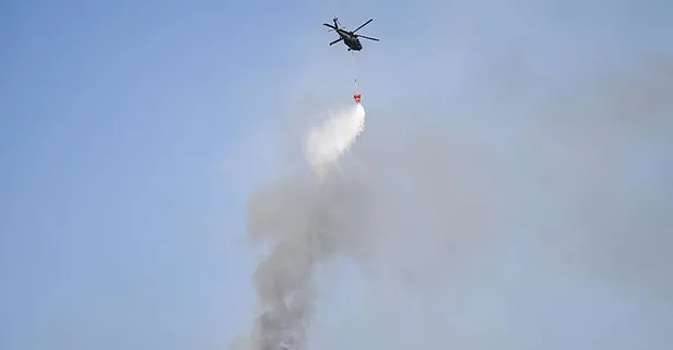 Bursa ve Aydın'da orman yangınları kontrol altında