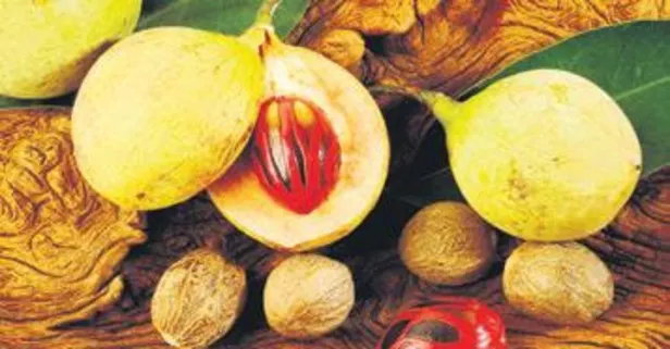 Sindirim dostu muskat birçok hastalığın iyileştirilmesine yardımcı oluyor!