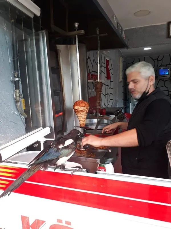 doner-tiryakisi-saksagan-musterileri-donerlerini-yemeden-birakmiyor-1633678783104.jpg