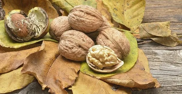 Yumurtalık kistine bir avuç ceviz