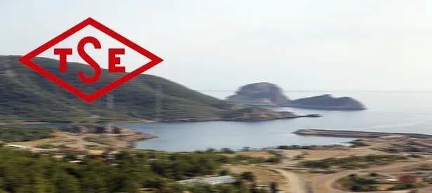 TSE'den nükleer enerji için iş birliği