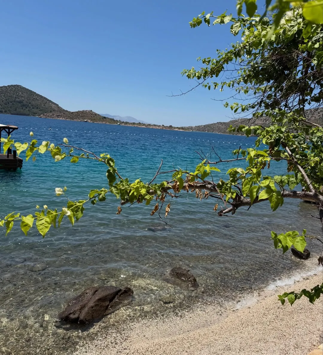 demet-sener-tatil-sezonunu-acti-en-dogal-haliyle-paylasti-1781359574596.jpg 2 çocuk annesi Demet Şener'den en doğal paylaşım! Filtresiz ve makyajsız tatil kareleri sosyal medyayı salladı-6