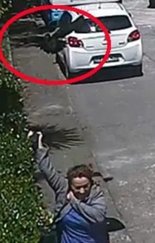 Rize’de yoldaki yavru kargayı kenara koymak isteyen İlknur Civil, yetişkin kargaların saldırısına uğradı